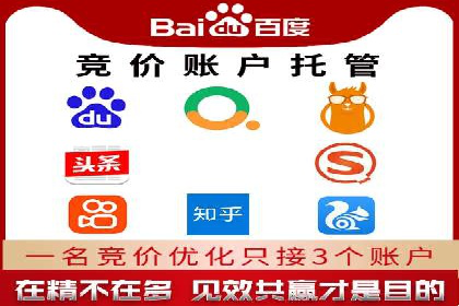 行业领先企业的SEM竞价代运营案例解析